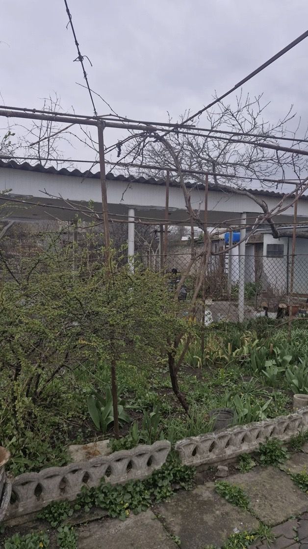 Участок  8 соток под строительство дома по ул Анатолия Бачинского ID 53864 (Фото 6)