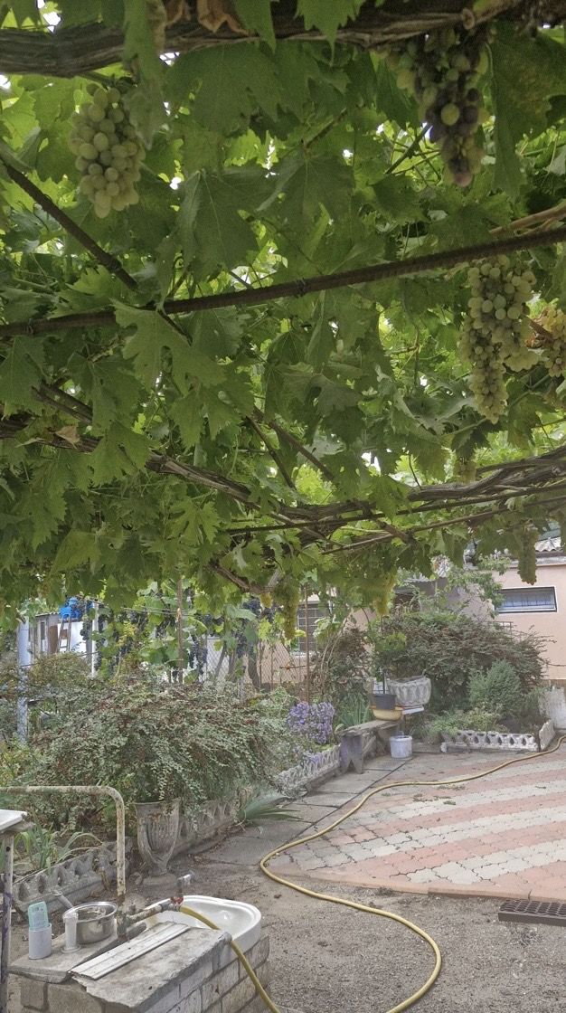 Участок  8 соток под строительство дома по ул Анатолия Бачинского ID 53864 (Фото 8)