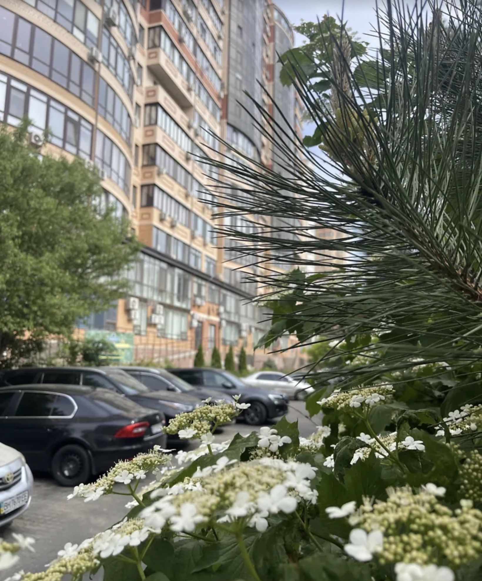 2- комнатная квартира с ремонтом в ЖК «Армейский». Госпрограммы ID 54169 (Фото 19)