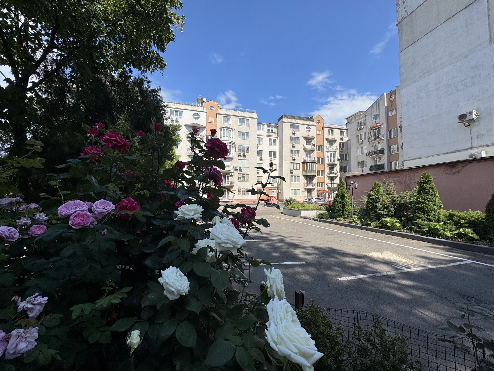 ЖК Тенистый. Продажа 3 комн квартиры в Аркадии. БЕЗ КОМИССИИ ID 53470 (Фото 1)