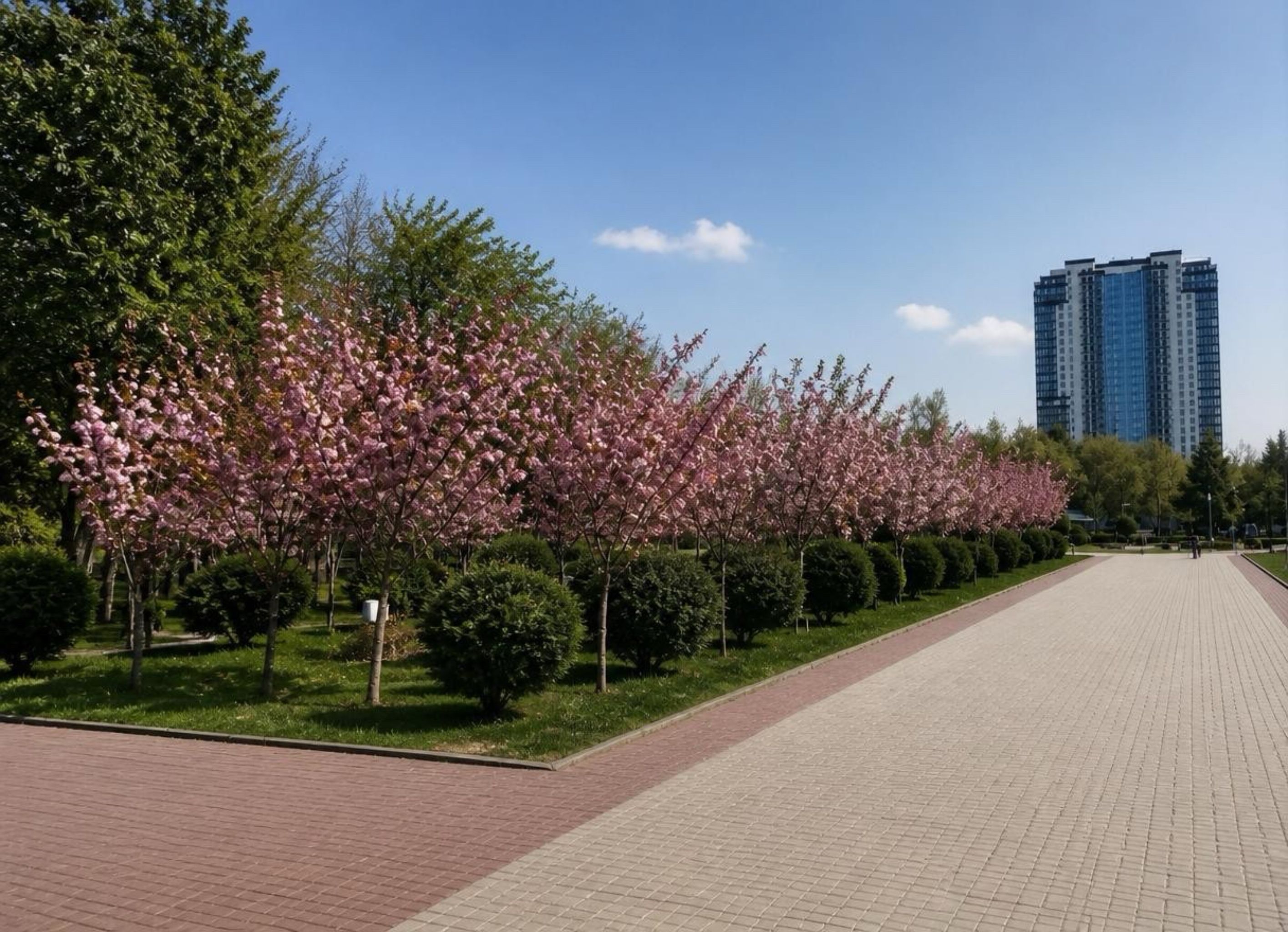  Продам квартиру проспект Шевченко ЖК Олимпийский вид на море. ID 53994 (Фото 1)