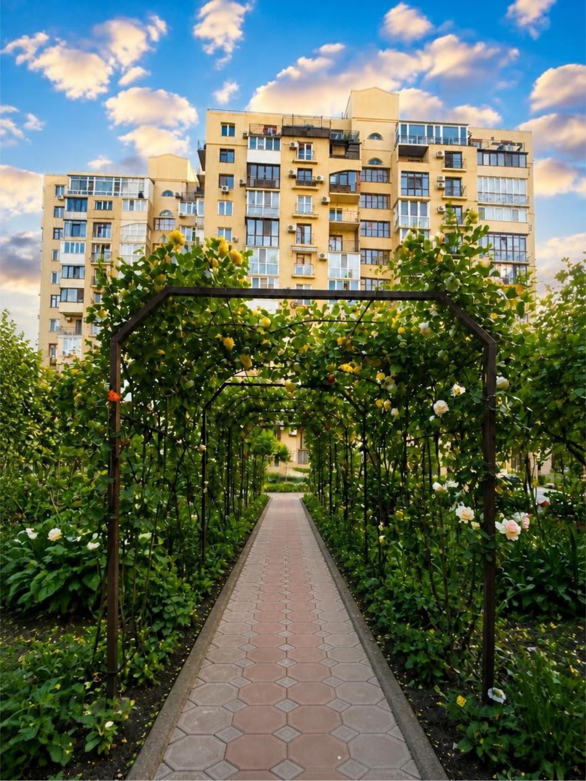 Продается двухкомнатная квартира на Французском бульваре - МОРЕ ID 54016 (Фото 9)